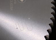 Tabella personalizzata di SKS Giappone acciaio alternativo 450x4.8x3.6x84P TCT la lama per sega circolare