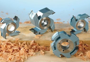 Il carburo di tungsteno del Micro-grano delle taglierine della limatrice del carburo fornisce di punta per l'OEM della falegnameria